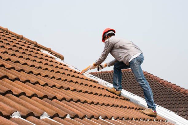 Best Chimney Flashing Repair  in Lochbuie, CO