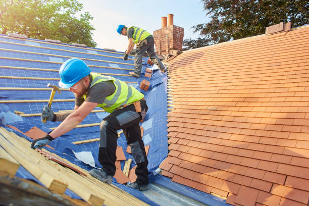 Best Gutter Replacement  in Lochbuie, CO